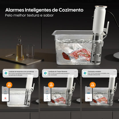 Máquina Sous Vide INKBIRD Wi-Fi 1000W com App e Circulação 3D
